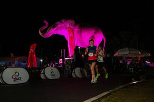 BIB: 
                            <button type="button" onclick="openModal(26543835)" class="btn btn-primary btn-sm float-right btn-popup" data-toggle="modal" data-target=".modal-high-quality">
                        <i class="fas fa-shopping-cart"></i> Add to Cart
                    </button>
                                            <button type="button" onclick="isThisMe(26543835, true)" class="btn btn-success btn-sm float-right btn-popup btn-isme hidden" data-toggle="tooltip" data-placement="bottom" title="นี่คือรูปของคุณใช่ไหม คลิกที่นี่เพื่อเอาเข้าอัลบั้ม">
                        <i class="fas fa-plus"></i> Add to album
                    </button>
                    <button type="button" onclick="isThisMe(26543835, false)" class="btn btn-warning btn-sm float-right btn-popup btn-isnotme hidden">
                        <i class="fas fa-ban"></i> Remove from album
                    </button>